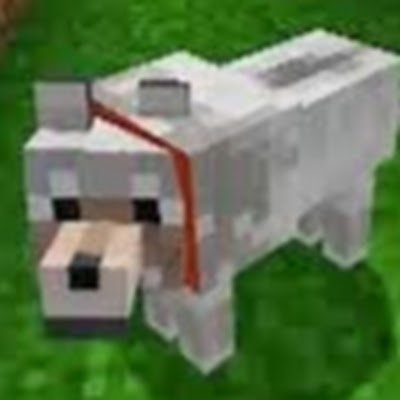Kaggle profile picture for @potato