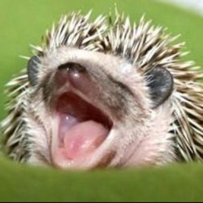 Kaggle profile picture for @mackay