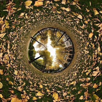 Kaggle profile picture for @expectation