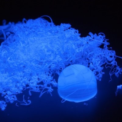 Kaggle profile picture for @helium