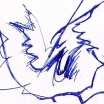 Kaggle profile picture for @stephanie