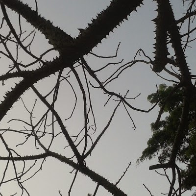 Kaggle profile picture for @varshitha
