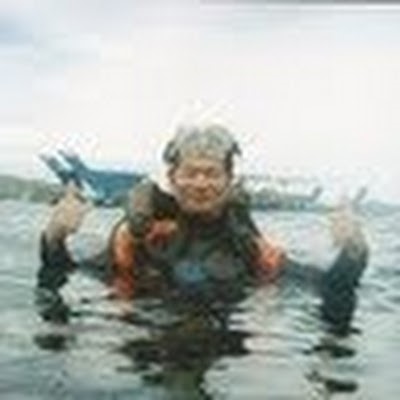 Kaggle profile picture for @decision