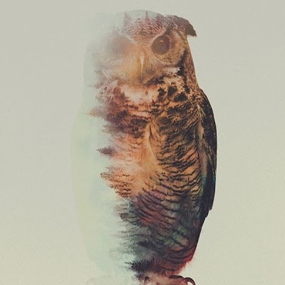 Kaggle profile picture for @latter