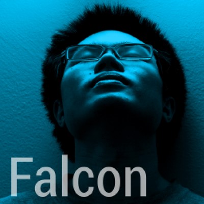 Kaggle profile picture for @falcon