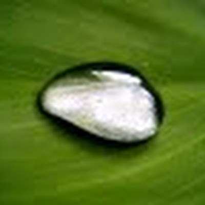 Kaggle profile picture for @cluster