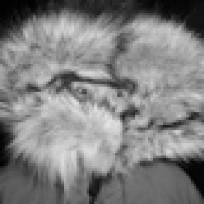 Kaggle profile picture for @sinned