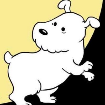 Kaggle profile picture for @tintin