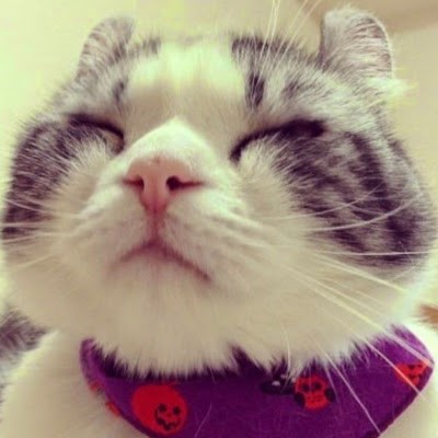 Kaggle profile picture for @garfield