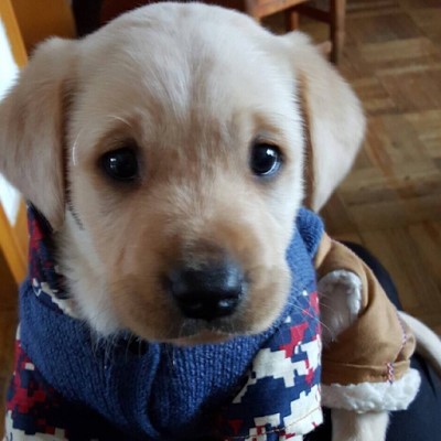 Kaggle profile picture for @norton