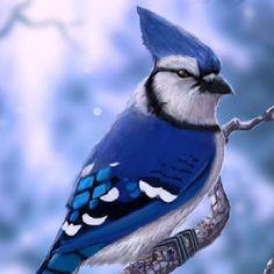 Kaggle profile picture for @sleeping