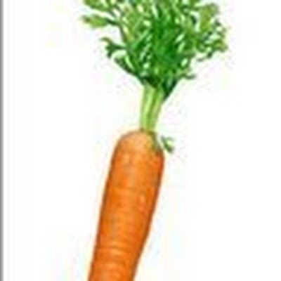 Kaggle profile picture for @precise