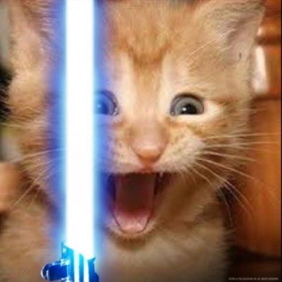 Kaggle profile picture for @trickster