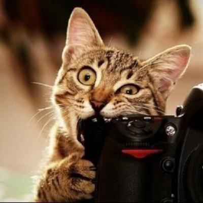Kaggle profile picture for @heinous