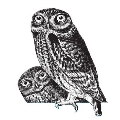 Kaggle profile picture for @technicalities