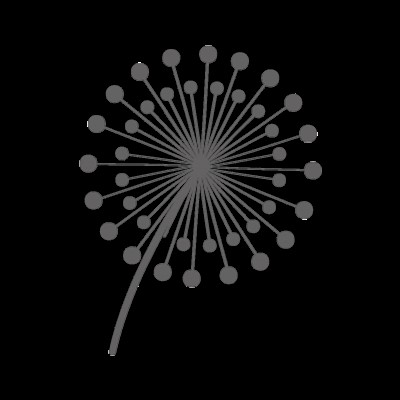 Kaggle profile picture for @arouse