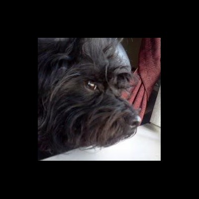 Kaggle profile picture for @sudoku