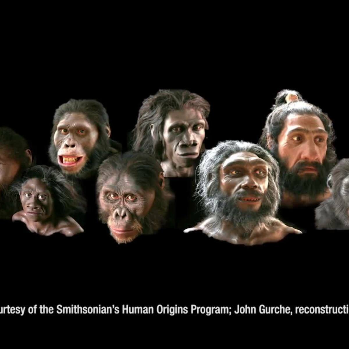 Human Evolution Video | Kaggle