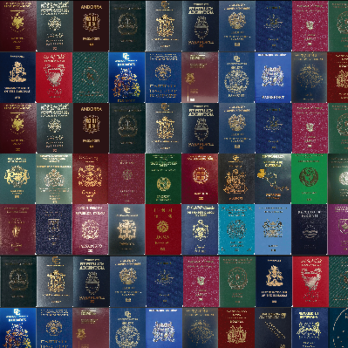 Passport colors Kaggle