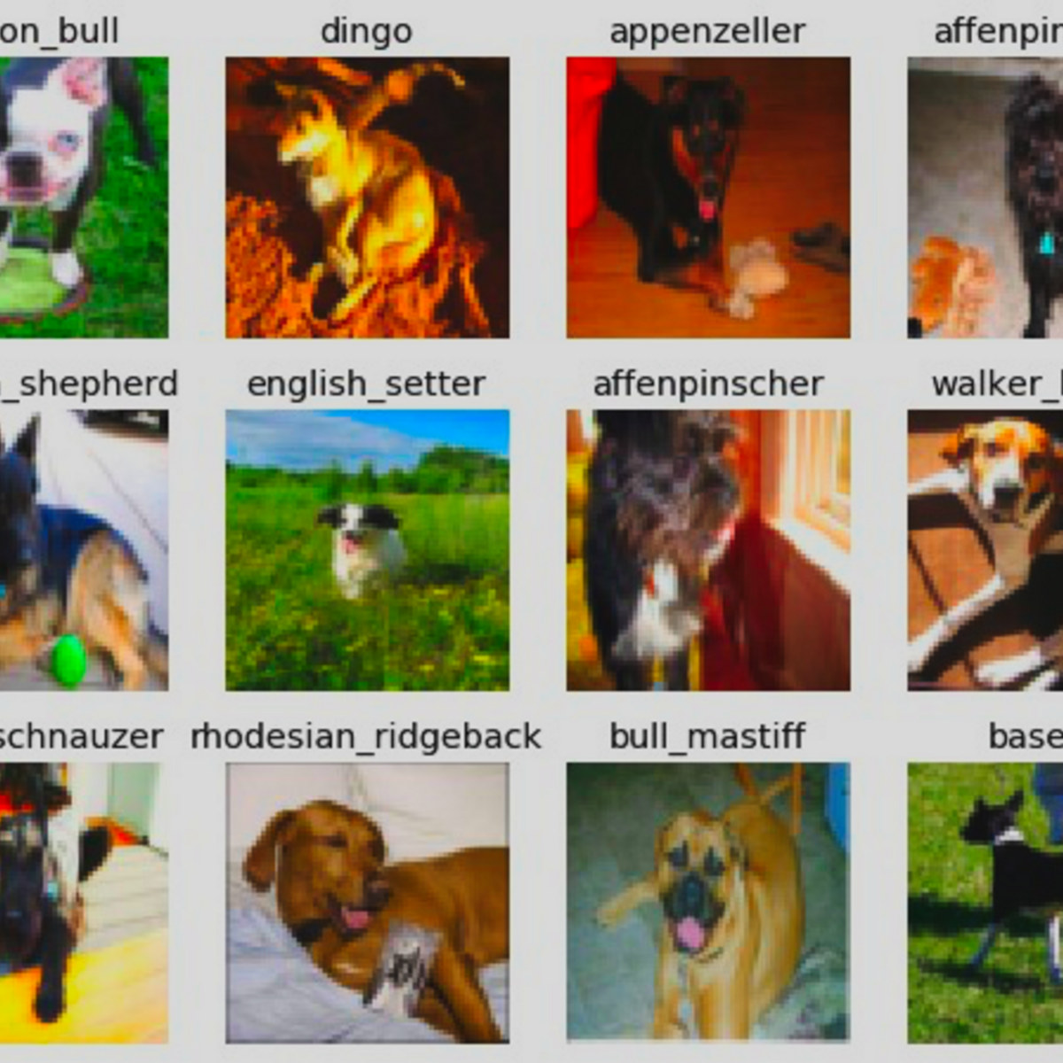 Download Dog dataset