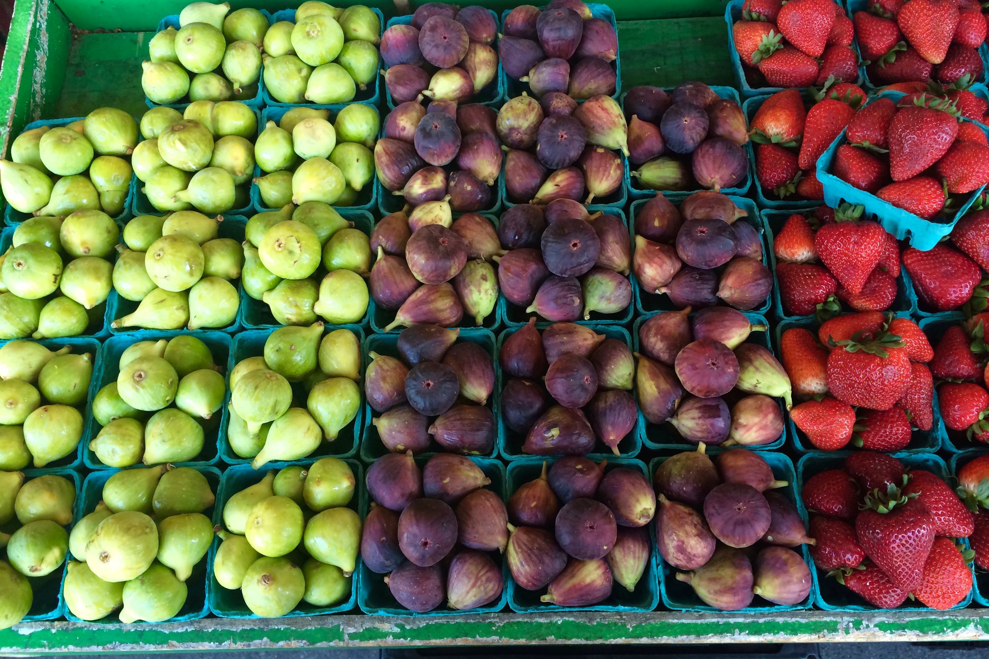 Evan S Fruit Dataset Kaggle