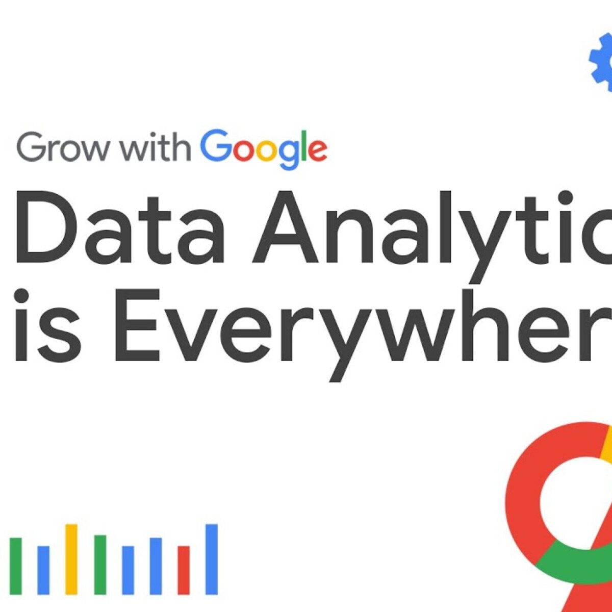 google data analytics capstone project solution