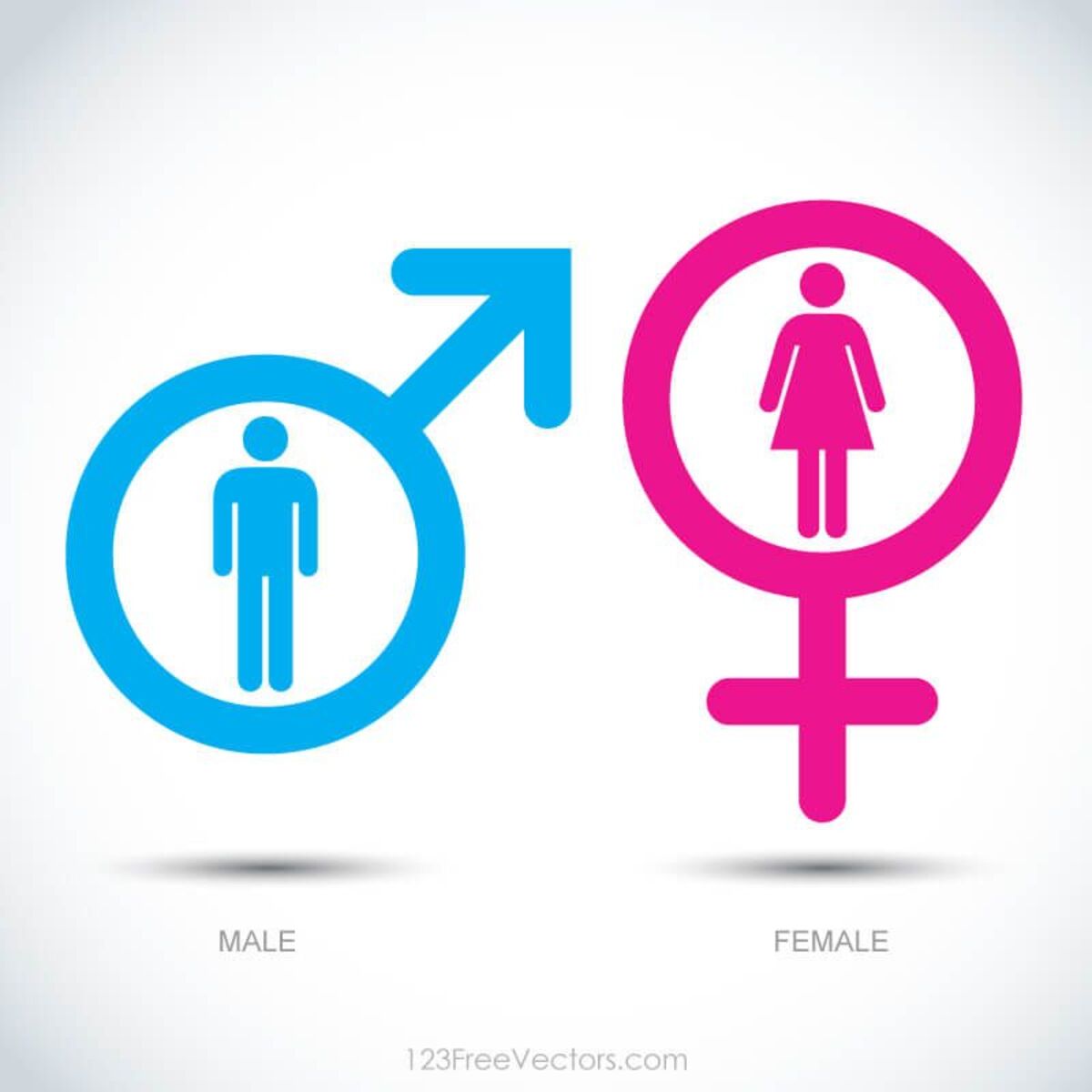 Male female. Мале Фемале. Гендеры male, female,. Male female вектор. Картинка Gender female.