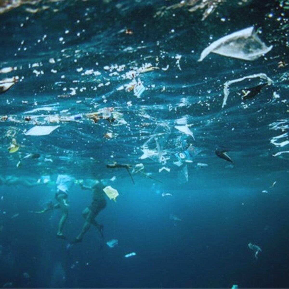 Underwater Trash Detection | Kaggle