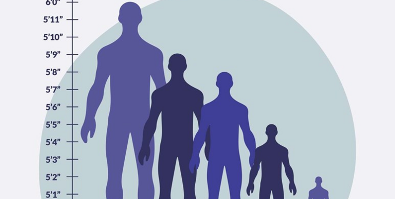 What is the average height for men?