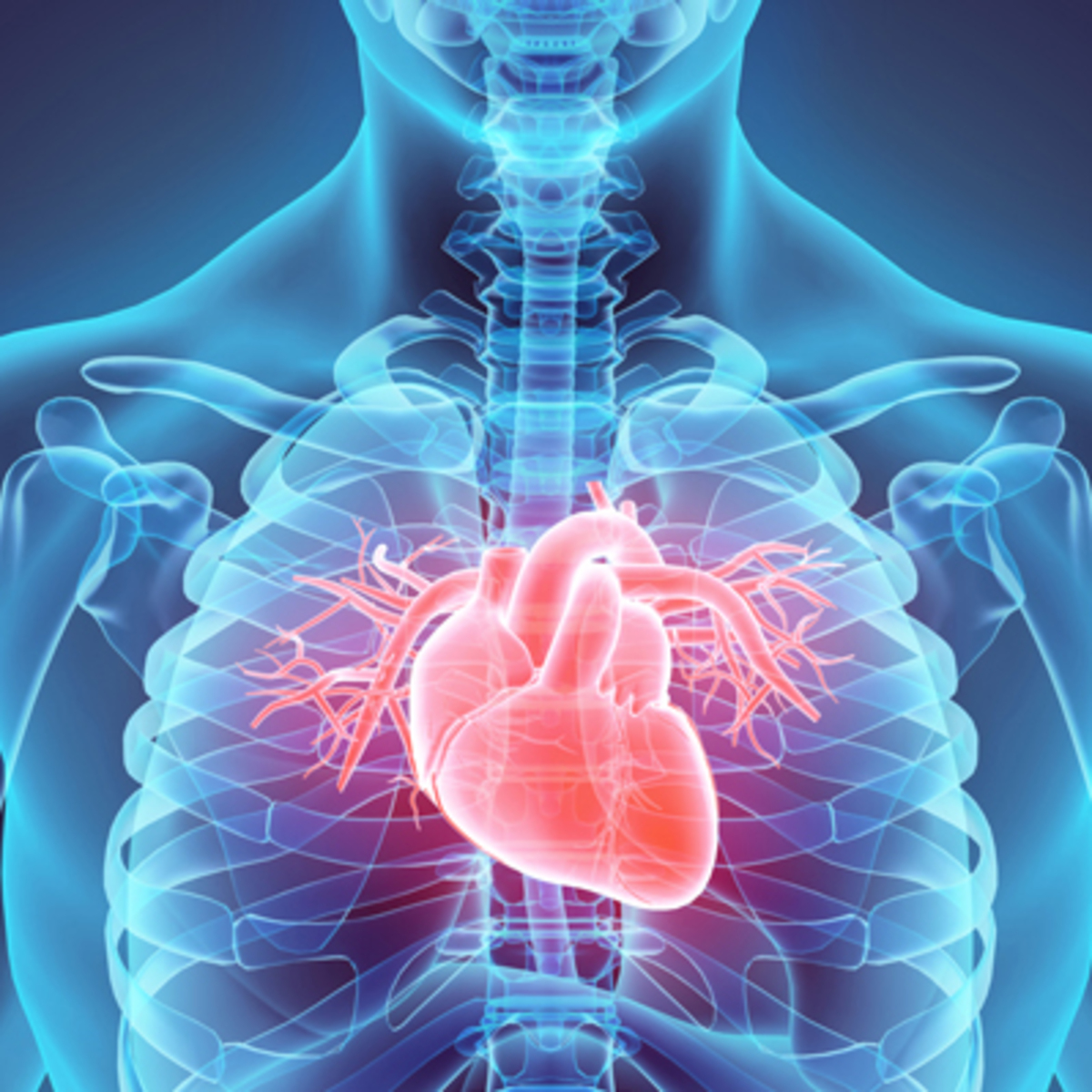 Heart Disease Dataset | Kaggle