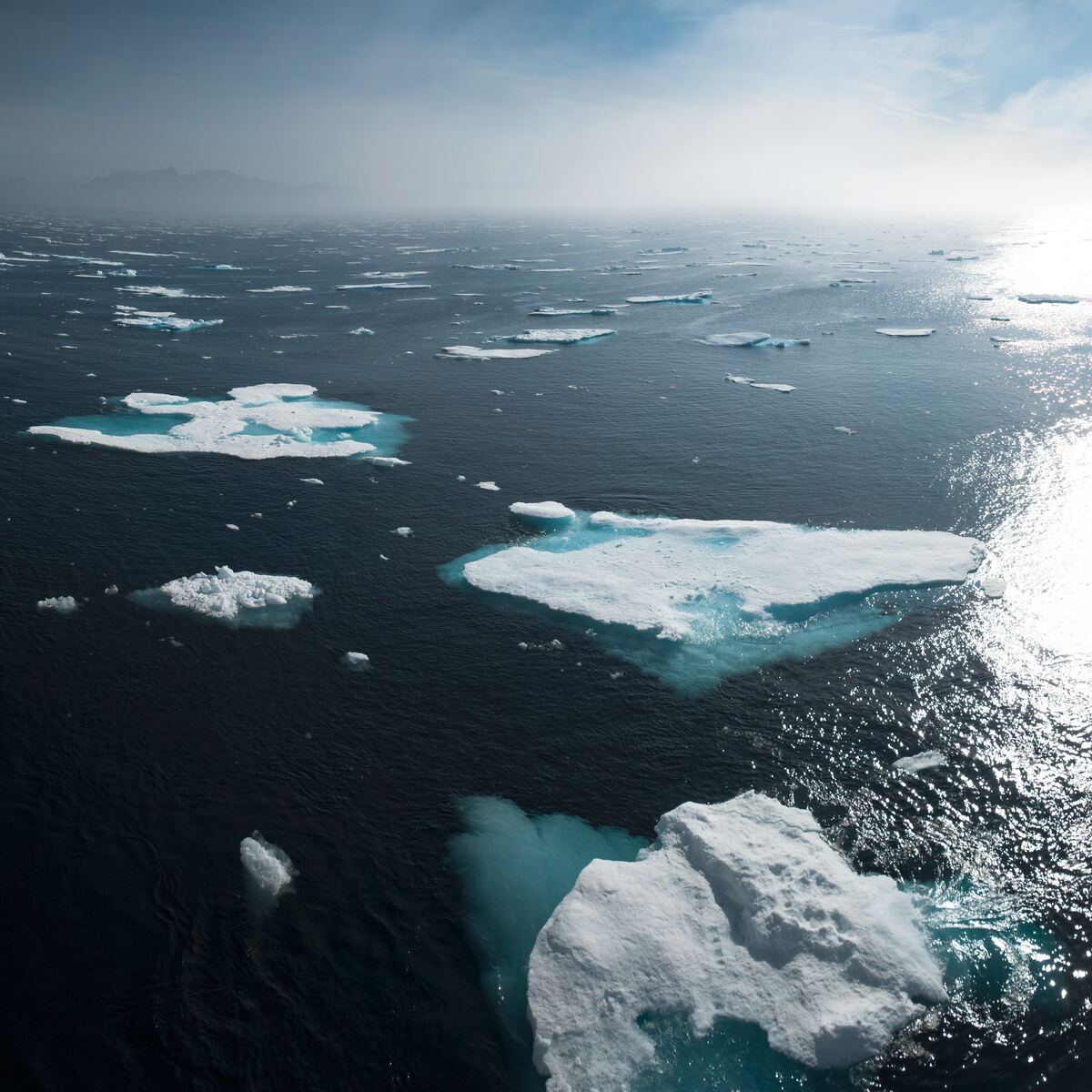 Ocean changes. Море Уэдделла. Море Уэдделла прозрачность. Дно Южного океана. Глобальное похолодание.