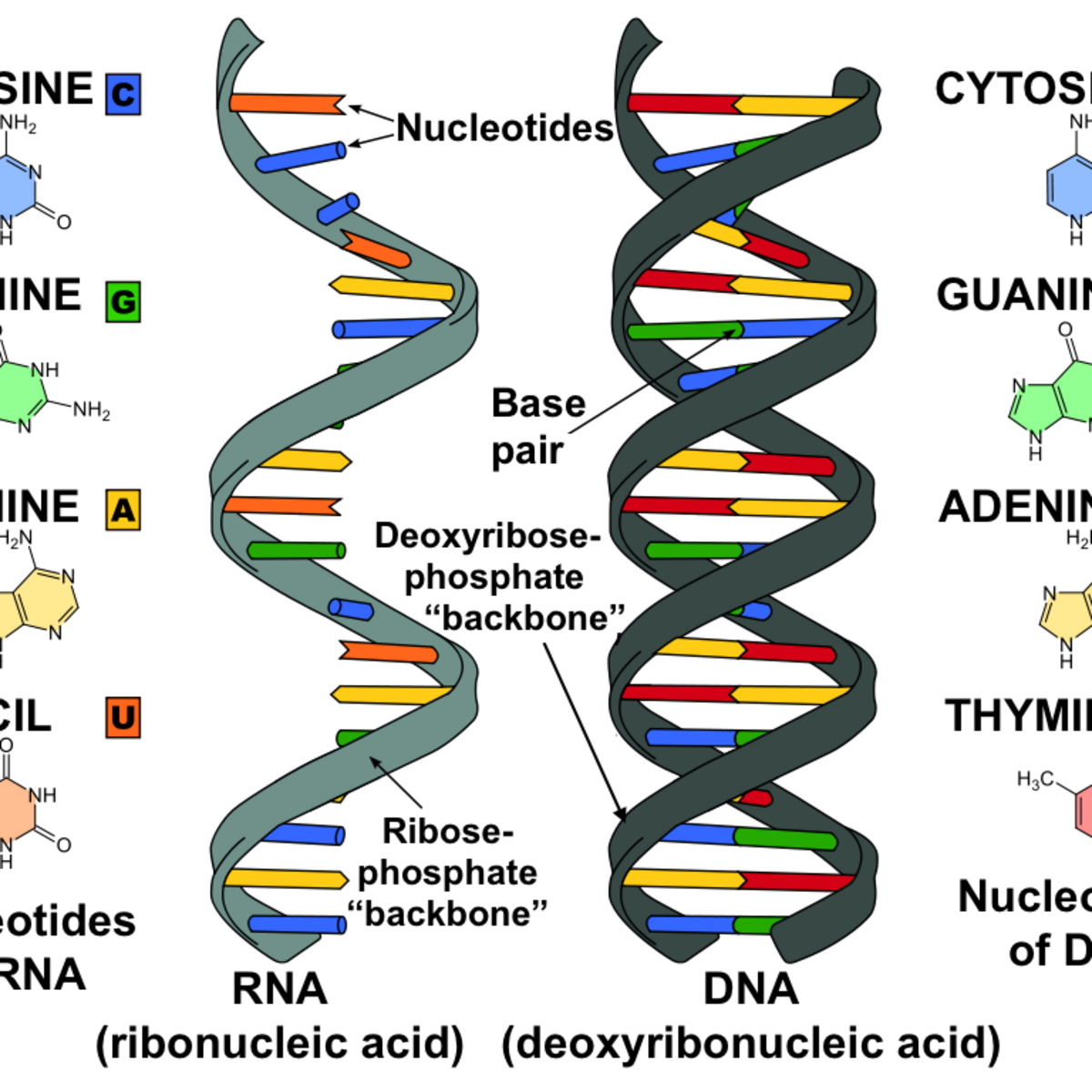 Belka2024|Ancillary | Kaggle