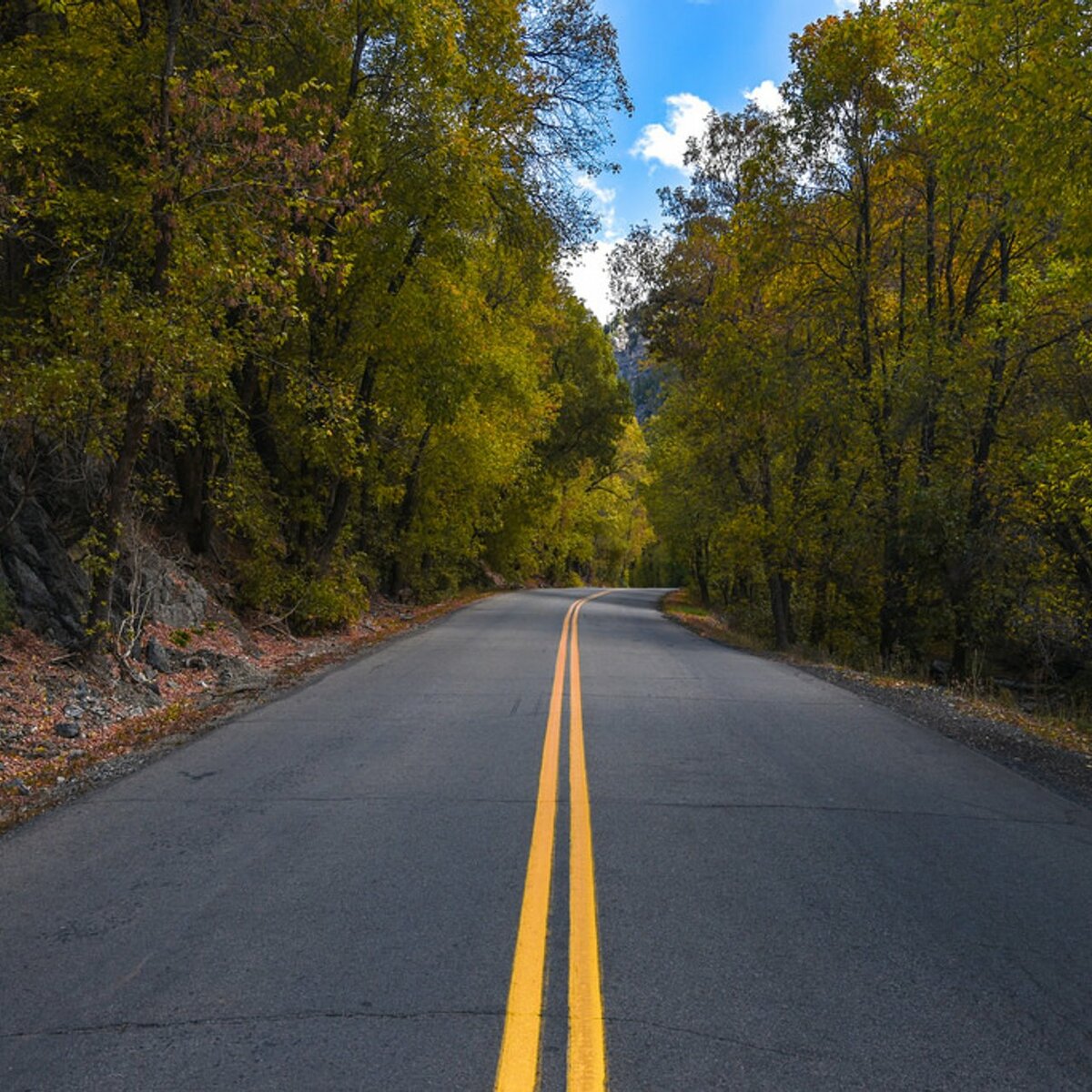 На дороге который доставляет. Road features. Alpine loop. Trail along.