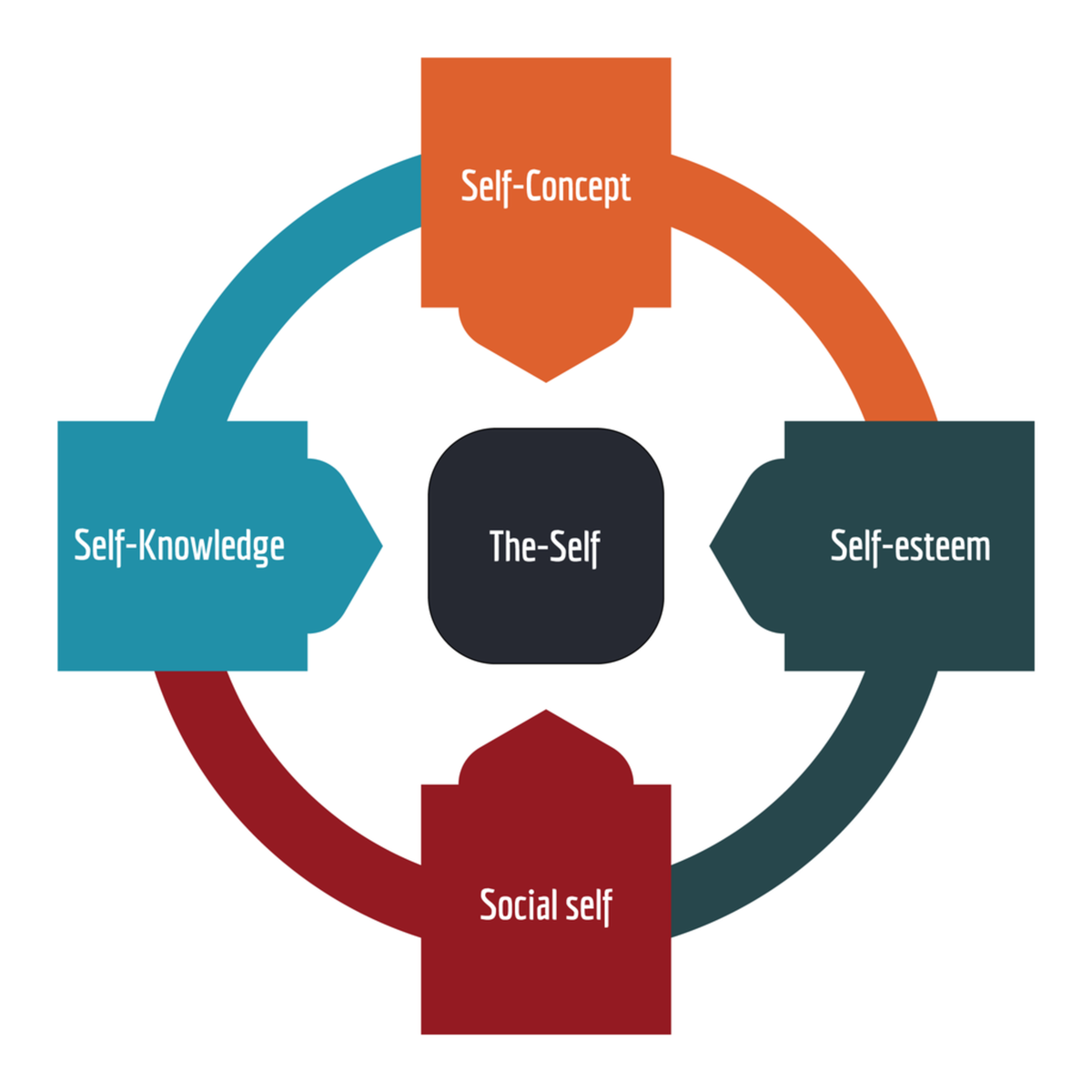 multidimensional-sexual-self-concept-questionnaire-kaggle