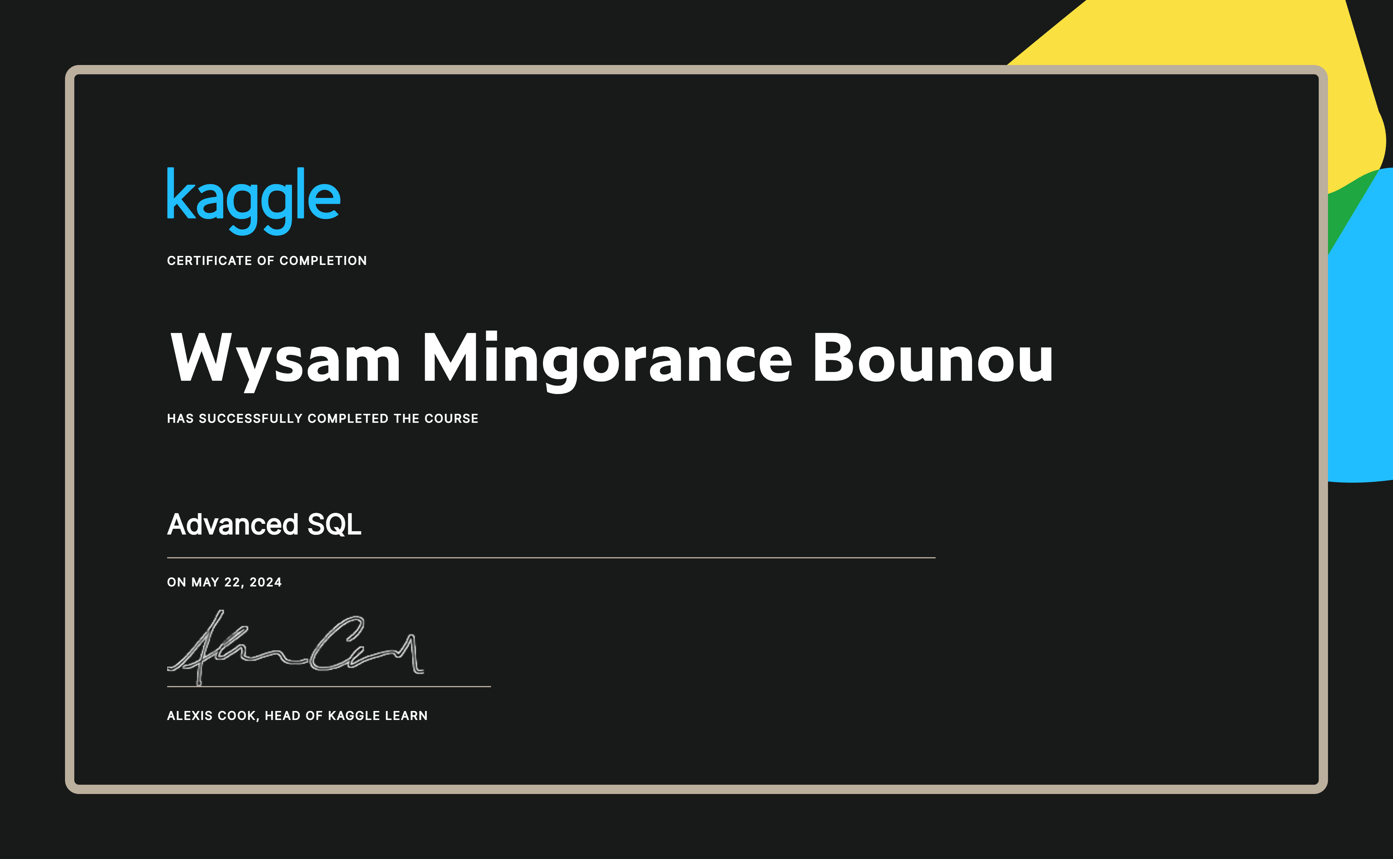 Wysam mingorance bounou completed the advanced sql course on kaggle 