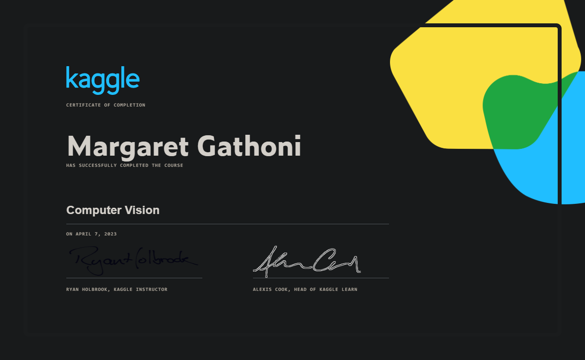 Sonniecodes completed the computer vision course on kaggle 