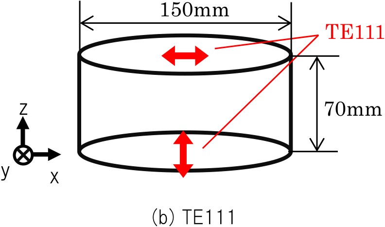 TE111の解析モデル