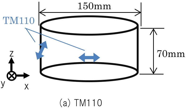 TM110の解析モデル