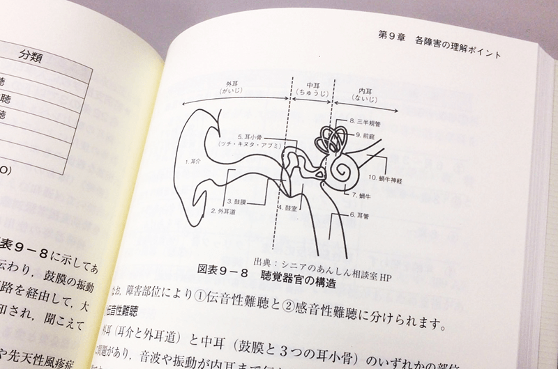 特別支援教育テキストブック_図版提供_聴覚器官の構造