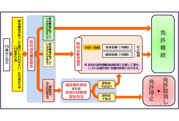 臨時機能検査や臨時高齢者講習の流れ