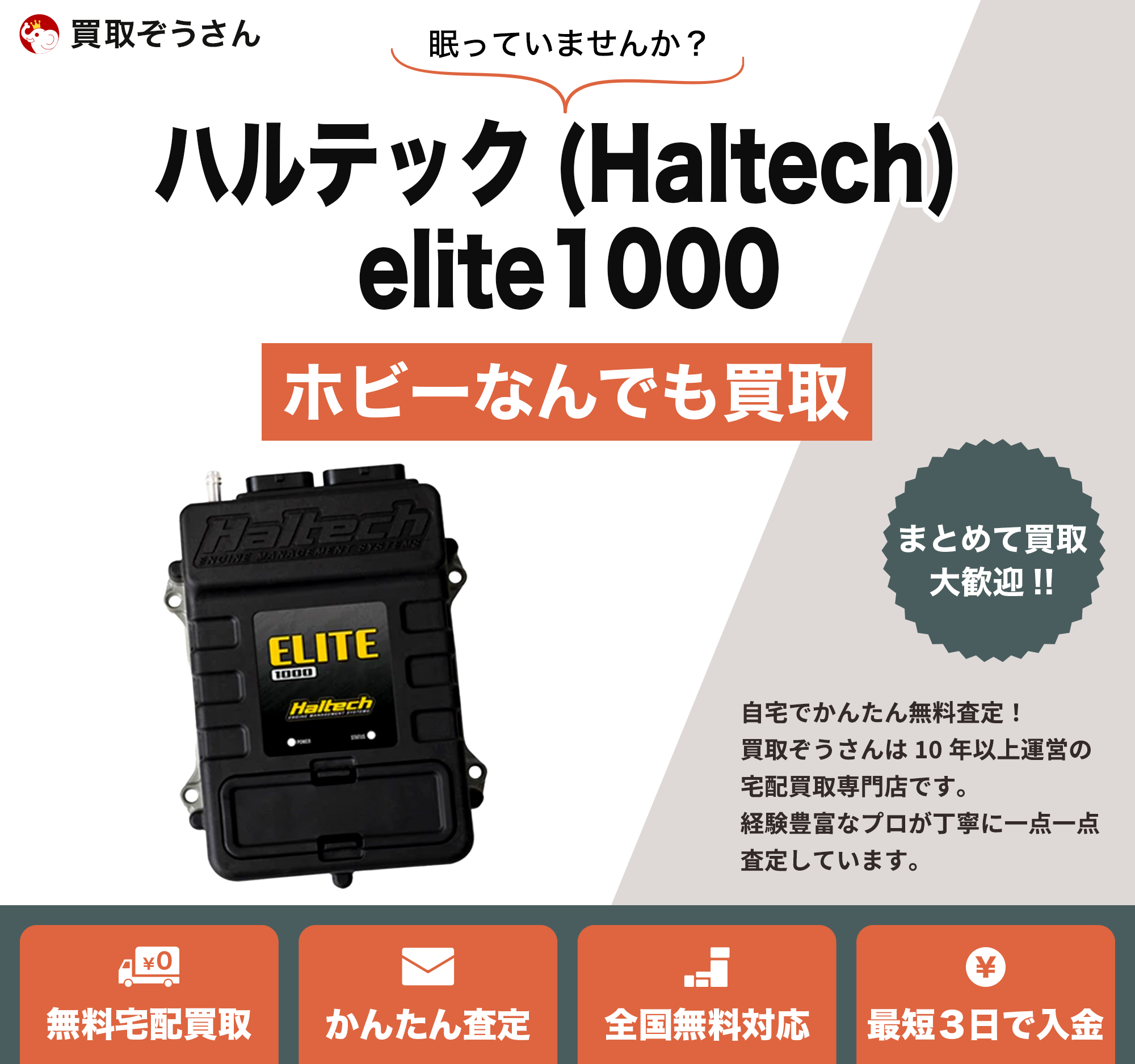 ハルテック(Haltech) elite1000