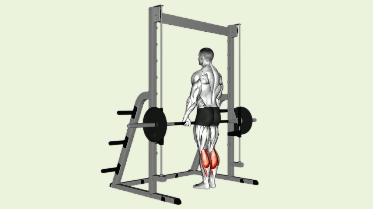 Smith Machine Standing Calf Raise: how the movement is executed