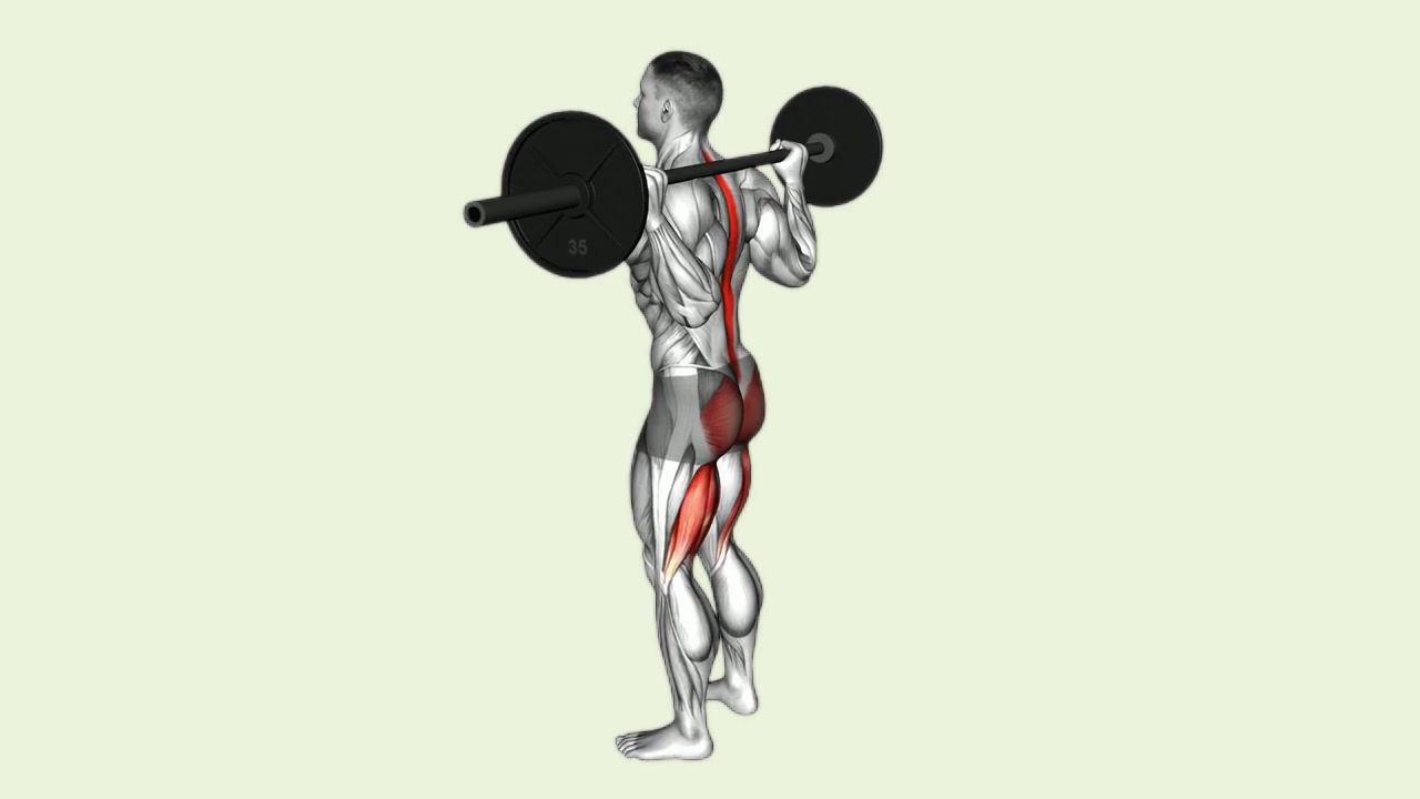 Barbell Good Mornings: how the movement is executed