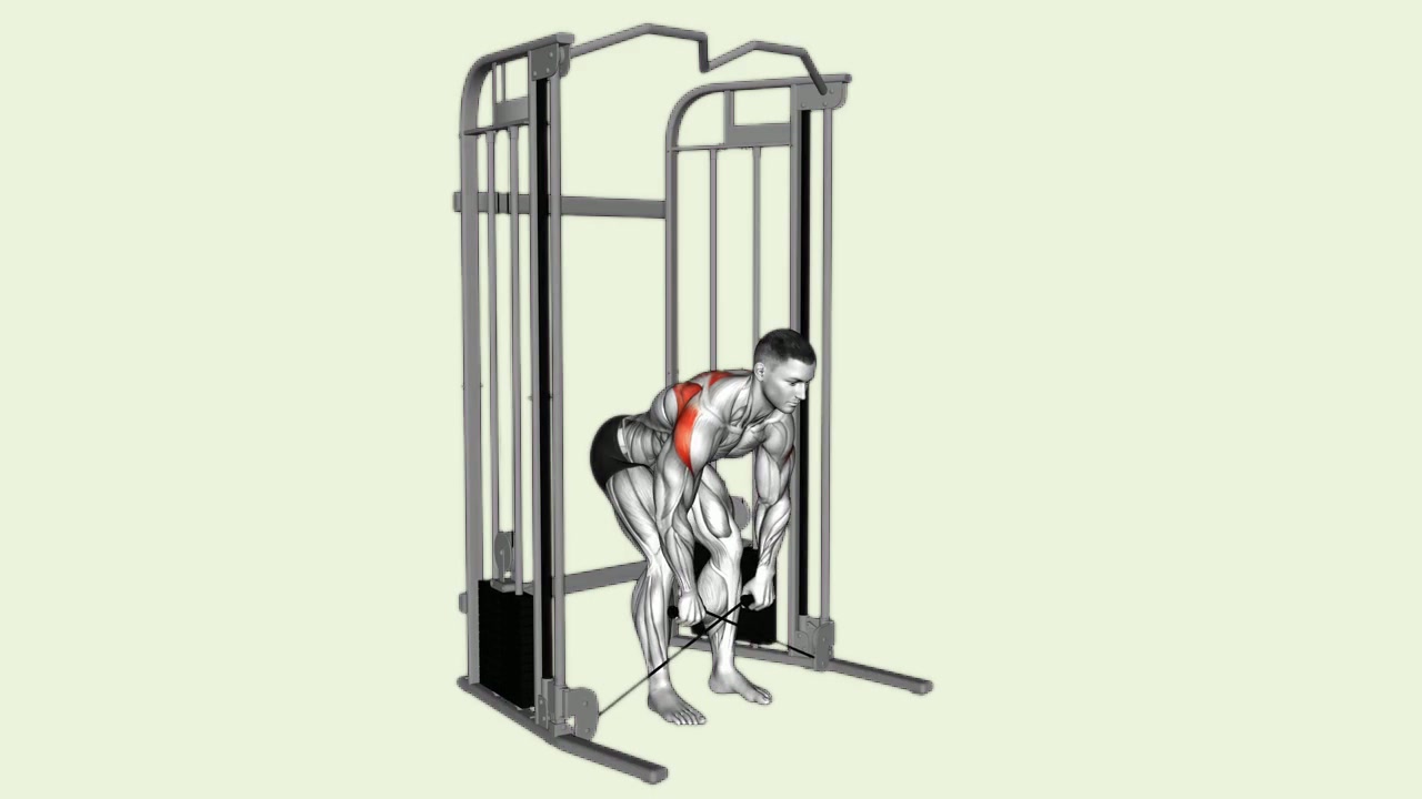 Bent-Over Cable Y-Raise: how the movement is executed