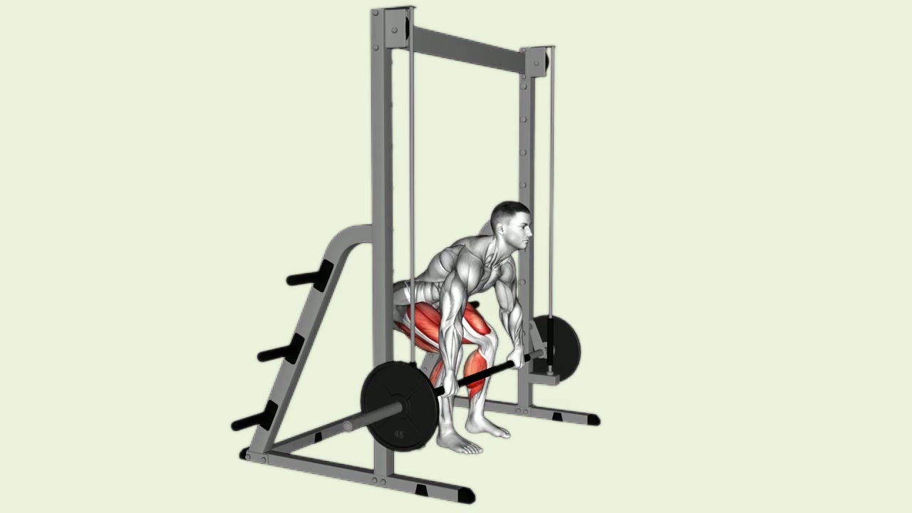 Smith Machine Romanian Deadlift: how the movement is executed