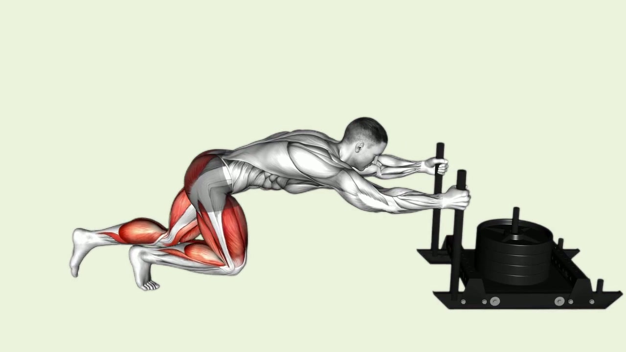 Sled Push: how the movement is executed