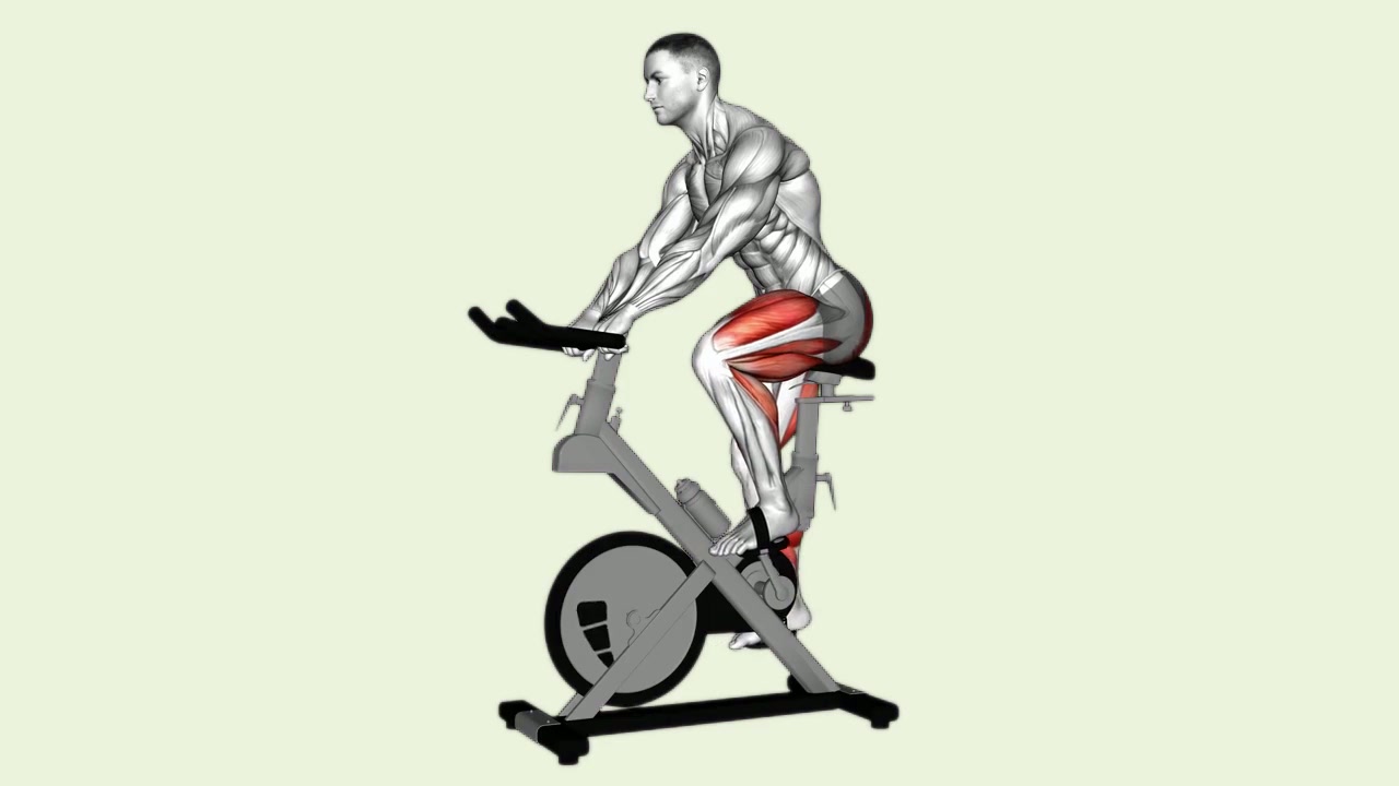 Stationary Bike: how the movement is executed