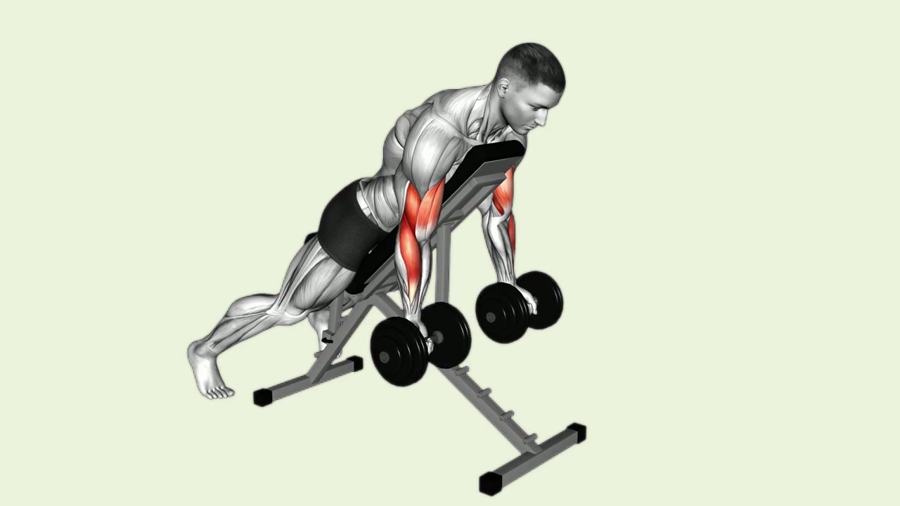 Dumbbell Spider Curl: how the movement is executed