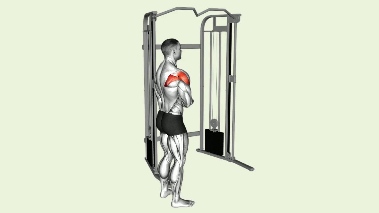 Cable Cuban External Rotation: how the movement is executed
