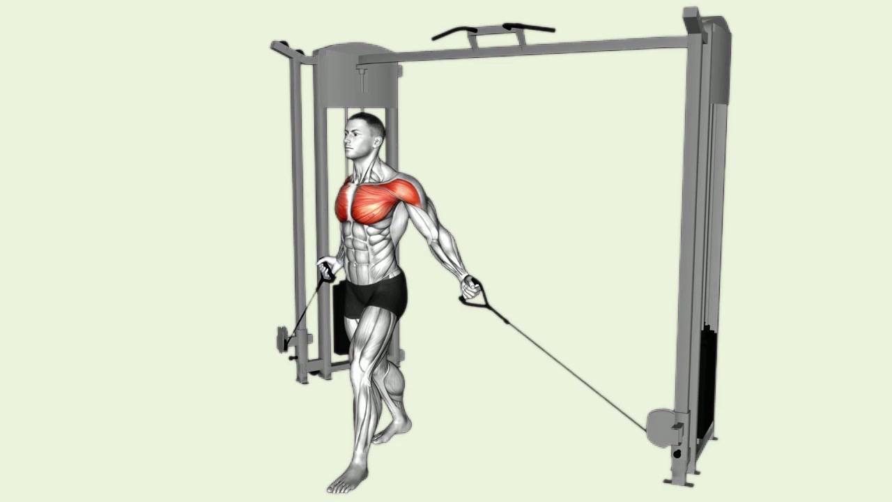 Low-to-High Cable Fly: how the movement is executed
